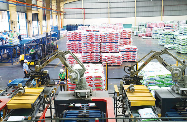 Wide-ranging support ahead for economy