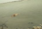 Detecting half-burnt body of suspected Covid-19 floating in the Ganges River