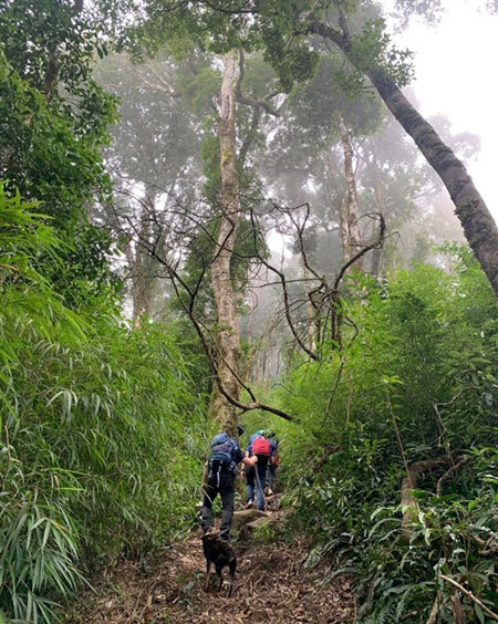Conquering Lung Cung Mountain in Yen Bai