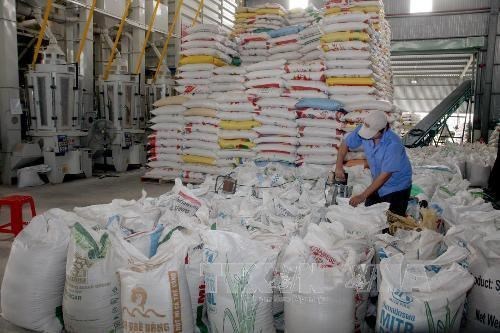 Rice exporters urged to utilise FTAs to boost declining shipments