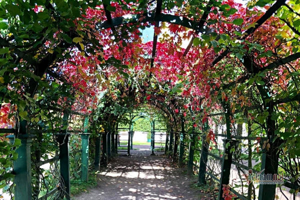 Người chồng tôi vốn tin tưởng hoàn toàn đã… ngoại tình