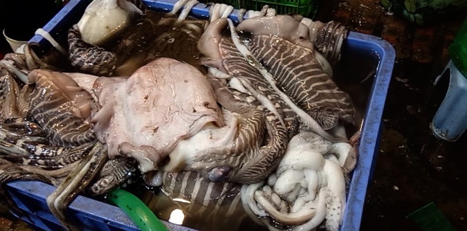 Mực thối tẩy trắng vào nhà hàng ở chợ Long Biên: Lỗ hổng