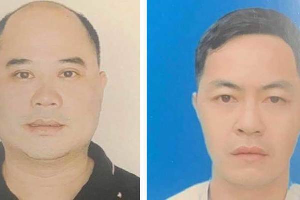 Khởi tố nhóm người mua bán rượu ngâm tê tê