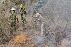 Rừng thông bốc cháy dữ dội, hàng trăm người dập lửa ở Quảng Nam