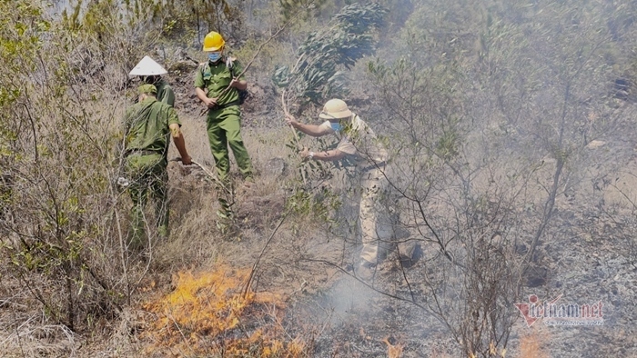 Rừng thông bốc cháy dữ dội, hàng trăm người dập lửa ở Quảng Nam