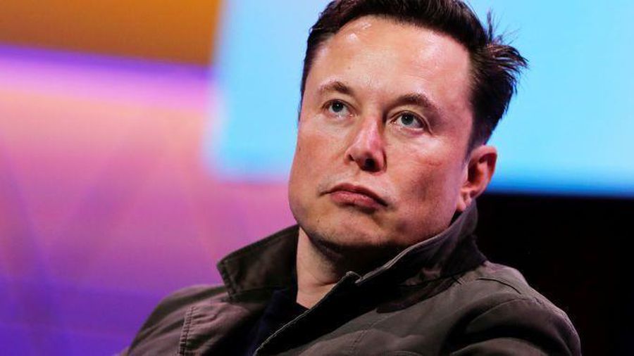 'Tôi mất sạch tiền tiết kiệm rồi, Elon Musk'