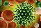 Two new strains of SARS-CoV-2 detected in Vietnam