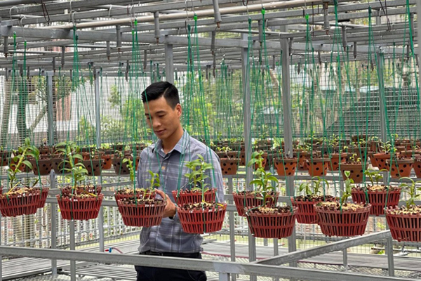 Nghìn chậu lan quý của người đàn ông Hà Nội