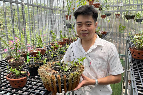 Vườn lan đa sắc của ông chủ 8x ở Bình Phước