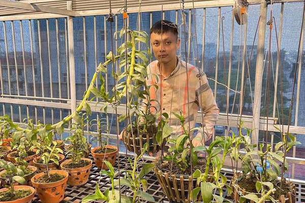 Bí quyết trồng lan: ‘Ăn ngủ, vui buồn, sẵn sàng cạn kiệt cùng lan’