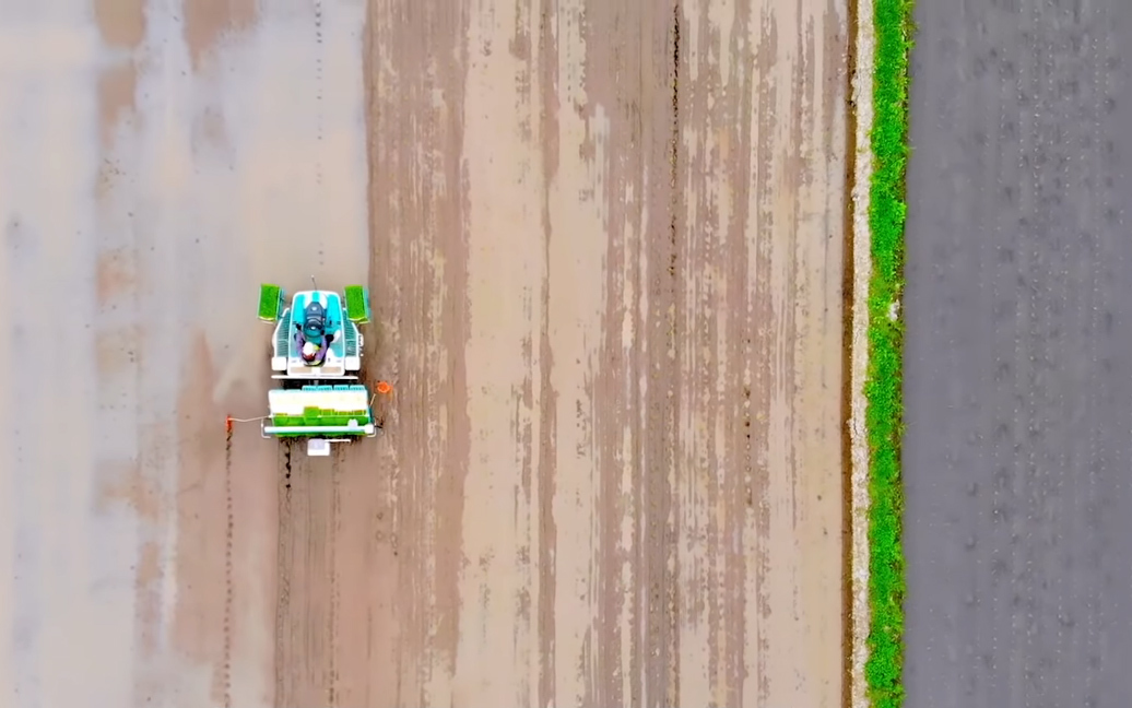 'Chìa khóa' giúp Nhật Bản vực dậy nền nông nghiệp