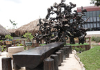 An Giang man owns unusual artworks made of old driftwood