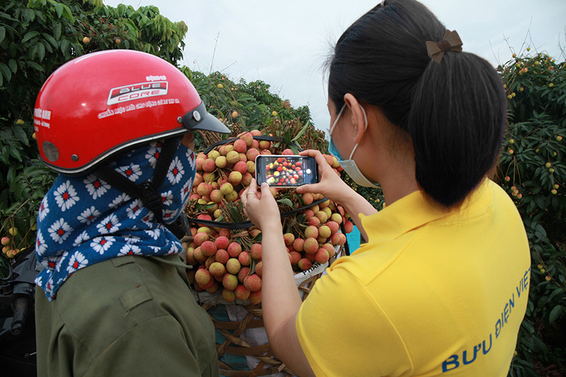 Bưu điện giúp nông dân Bắc Giang tiêu thụ hàng chục tấn nông sản mỗi ngày