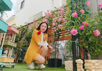 Vườn hồng ở hàng rào tuyệt đẹp của vợ chồng Việt tại Nhật