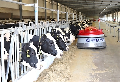 VIETNAM BUSINESS NEWS MAY 28