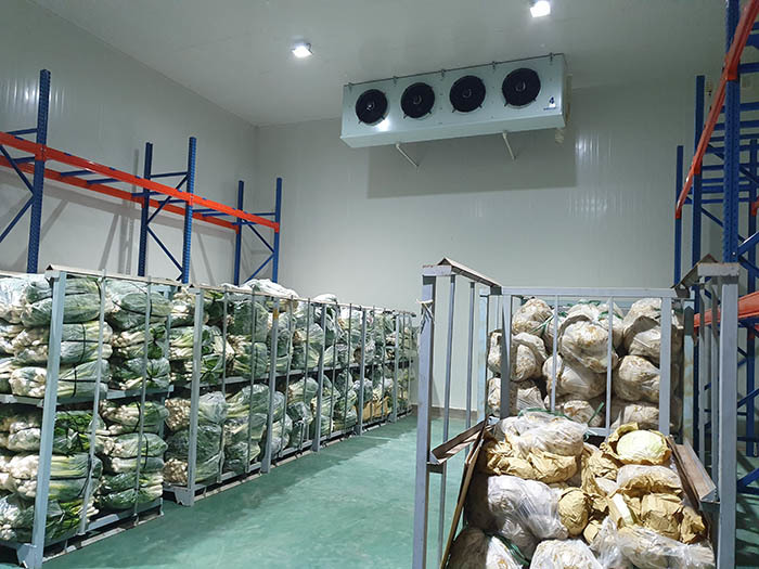 Dịch vụ đặc chủng thiếu hụt toàn cầu, Việt Nam cũng nguy cơ