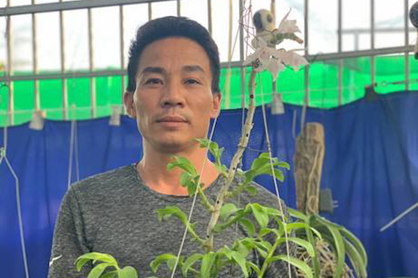 Đam mê, cẩn trọng - bí quyết chinh phục hoa lan của ông chủ vườn lan ở Hà Nội