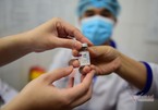 Tìm được nguồn vắc xin từ UAE, 4 hiệp hội xin hỗ trợ nhập khẩu