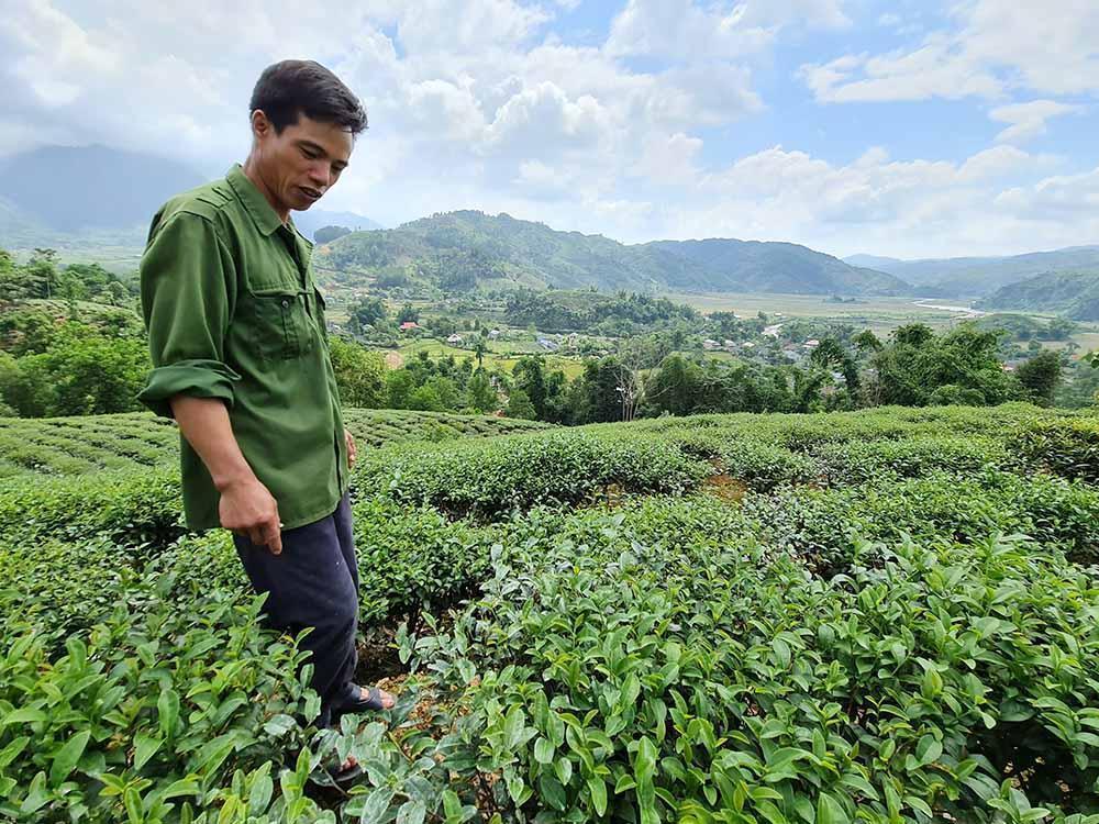 Former maize fields turn out to be worth millions