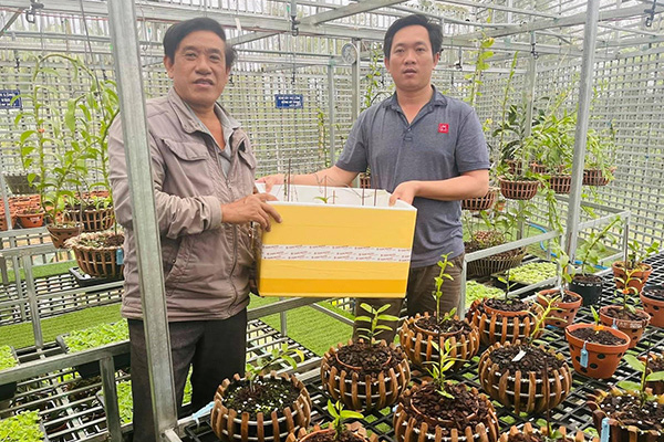 Ông chủ vườn lan Ngọc Vương chia sẻ bí quyết chăm lan đúng cách