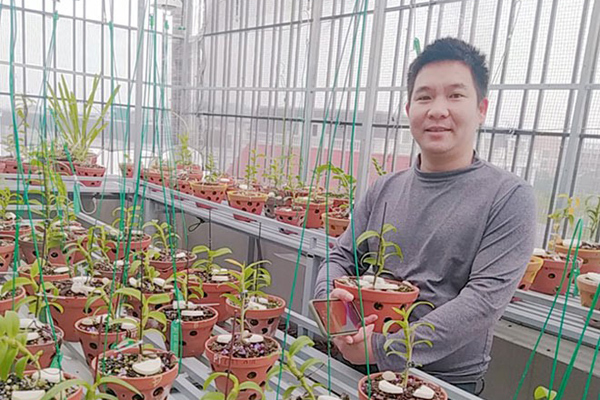Ông chủ vườn lan Hà Thành phủ xanh một khoảng vườn trong lòng thành phố