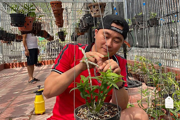 Ông chủ vườn lan Hoà Bình lưu ý 6 điiều cần biết khi trồng lan