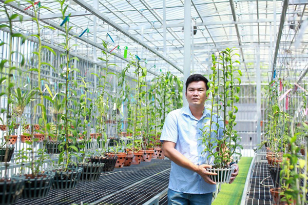 Tình yêu đặc biệt của ông chủ vườn lan hàng nghìn chậu