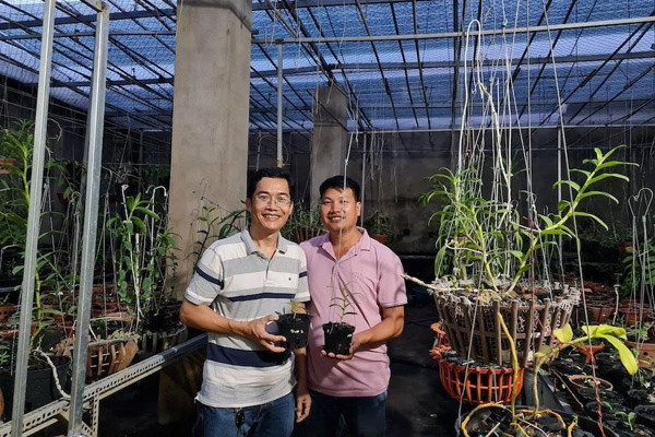Chủ vườn Gia Lai mở phòng thí nghiệm bảo tồn giống lan rừng