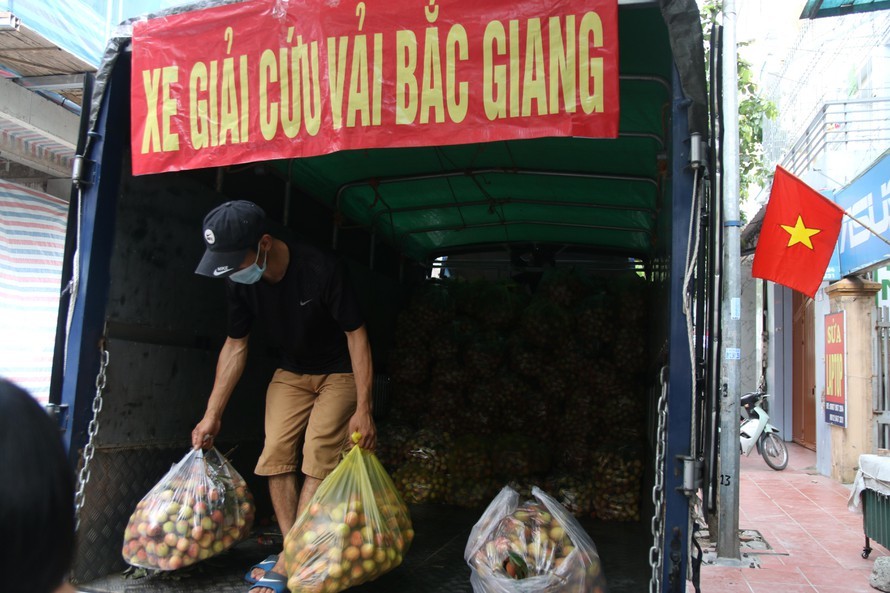 Vải Bắc Giang vượt 'vòng vây' về Hà Nội, dân gọi nhau giải cứu