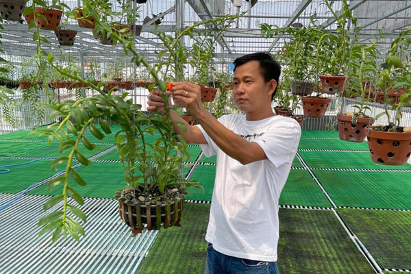 8x sở hữu vườn lan ‘khủng’ hơn 3000 chậu