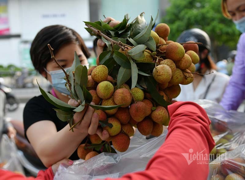 Giữa trưa nắng rát, người Hà Nội mua vải thiều ủng hộ Bắc Giang
