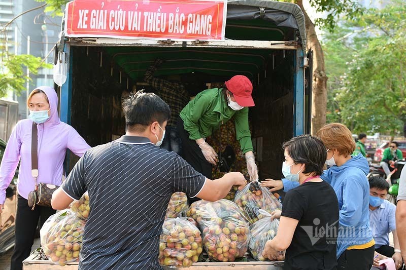 Giữa trưa nắng rát, người Hà Nội mua vải thiều ủng hộ Bắc Giang