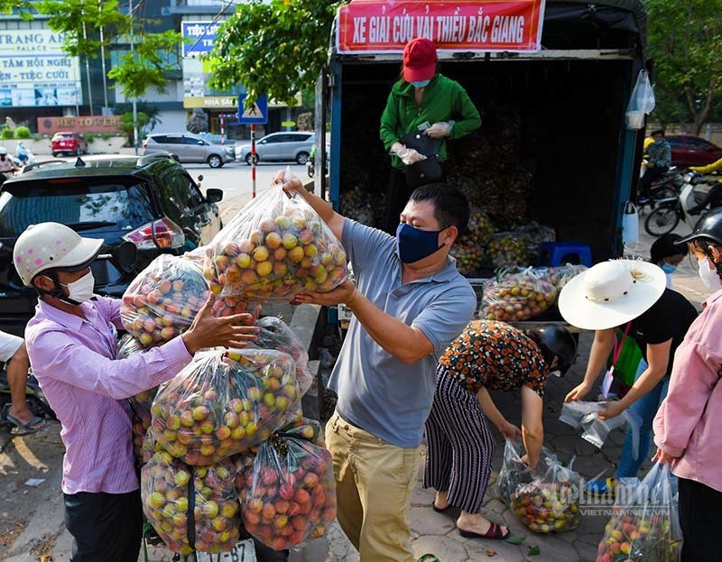 Kết nối cung cầu chính quy: Mô hình chuẩn hỗ trợ tiêu thụ nông sản mùa dịch