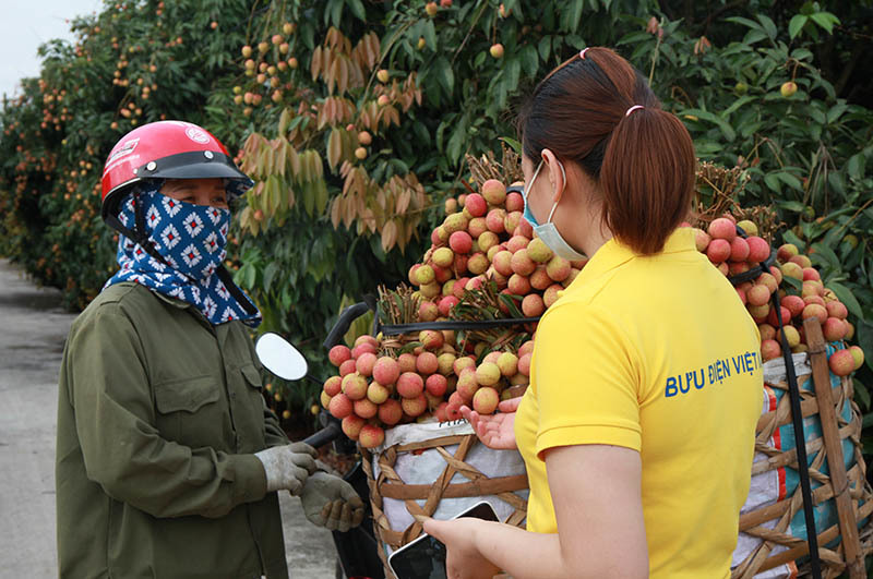 Cải cách để phục hồi tăng trưởng, lấy sức vượt qua đại dịch