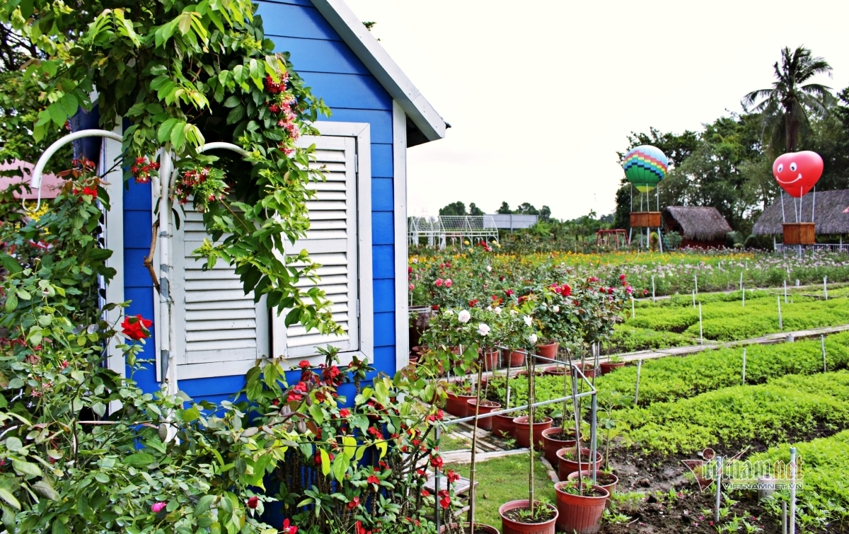 Truyện Capuchino Cho Ngày Nắng