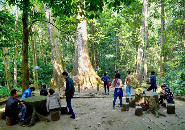 A trek into Vietnam’s oldest national park