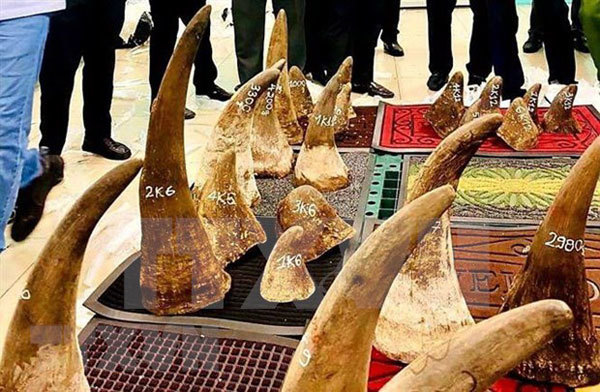 Vietnam hands over rhino horn DNA samples to South Africa