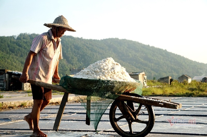 Rát mặt trên cánh đồng muối những ngày miền Trung nóng như nung