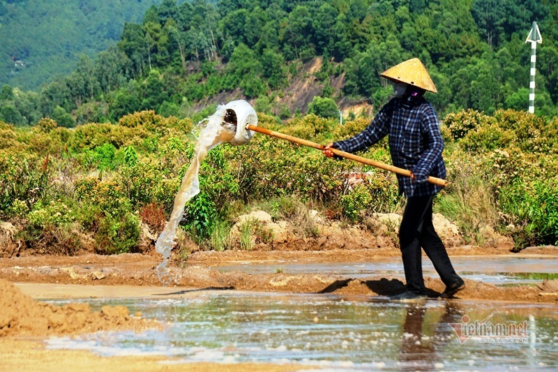 Rát mặt trên cánh đồng muối những ngày miền Trung nóng như nung