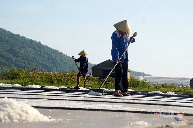 Rát mặt trên cánh đồng muối những ngày miền Trung nóng như nung