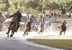 Lao Cai's traditional horse racing gets national heritage status