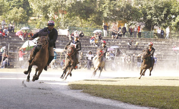 Lao Cai's traditional horse racing gets national heritage status