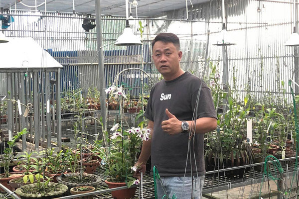 Ông chủ vườn lan Lâm Đồng chia sẻ cách chăm lan cho người mới