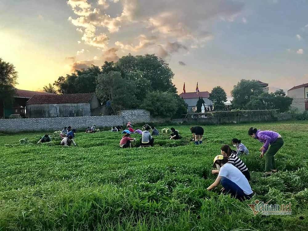 “Biệt đội” rau xanh tiếp tế khu cách ly của vợ chồng giáo viên Bắc Giang