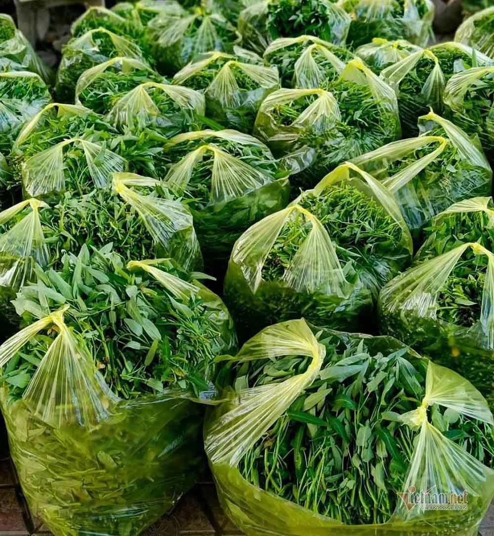 “Biệt đội” rau xanh tiếp tế khu cách ly của vợ chồng giáo viên Bắc Giang