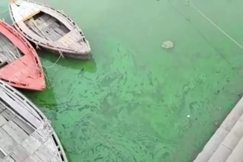 Sông Hằng chuyển màu xanh bất thường, dân Ấn Độ phát hoảng