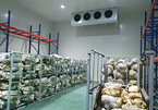 Vietnam faces shortage of cold storage warehouses