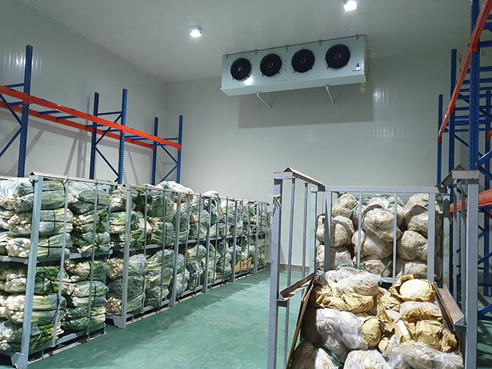Vietnam faces shortage of cold storage warehouses