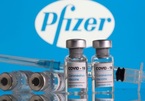 Việt Nam chính thức phê duyệt khẩn cấp vắc xin Pfizer