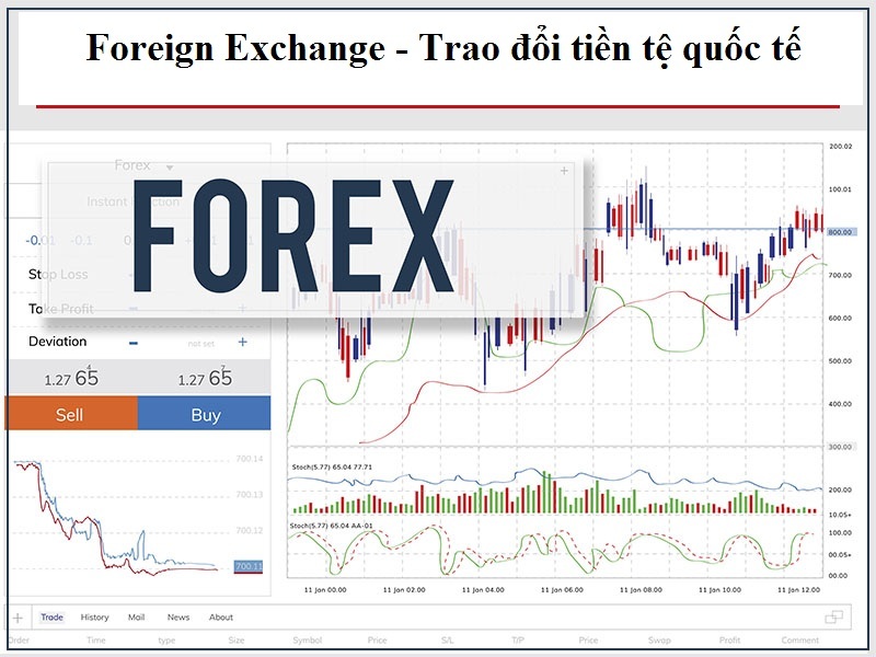 Công an Hà Nội cảnh báo rủi ro pháp lý từ Forex